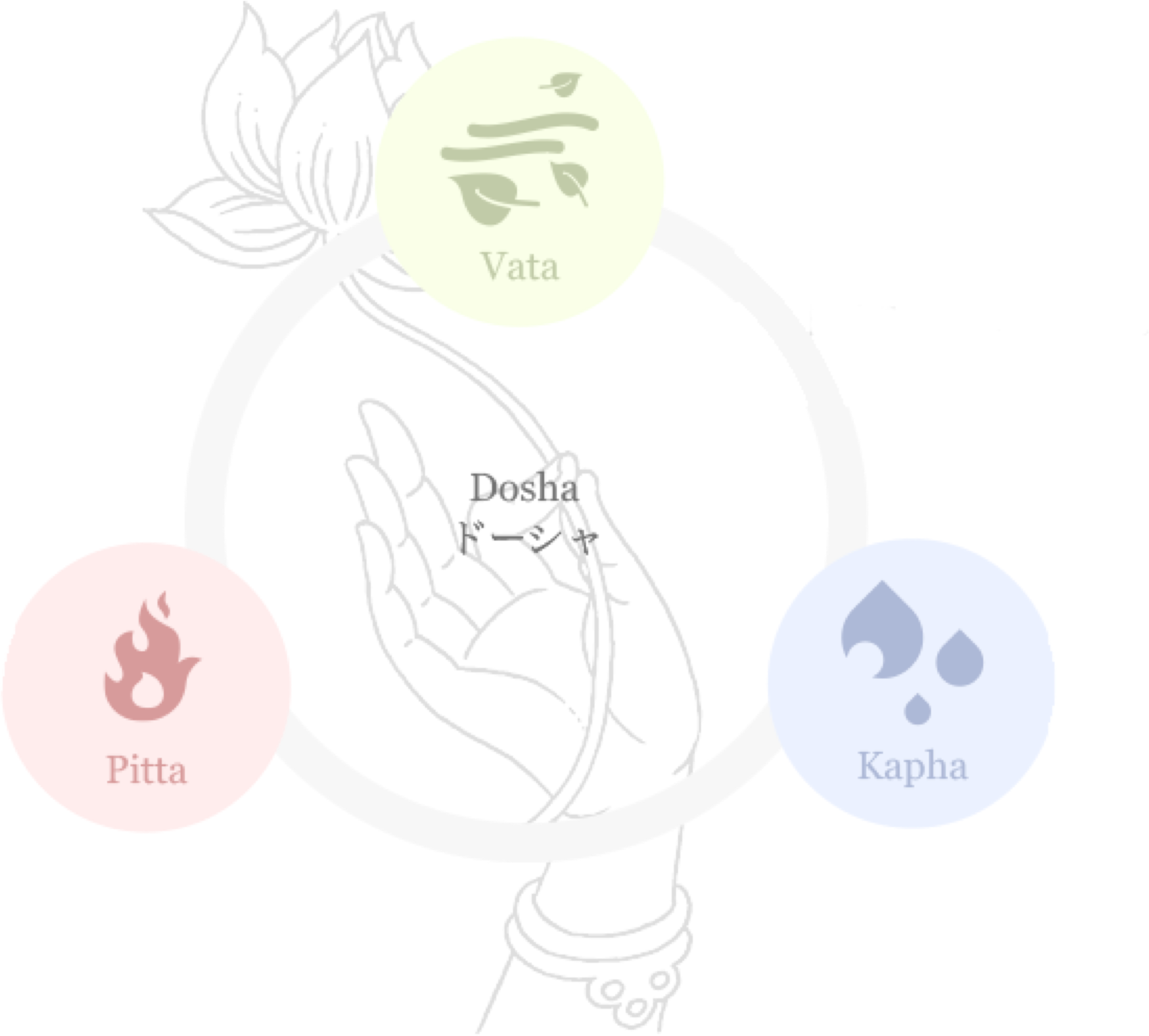 ドーシャ概念図