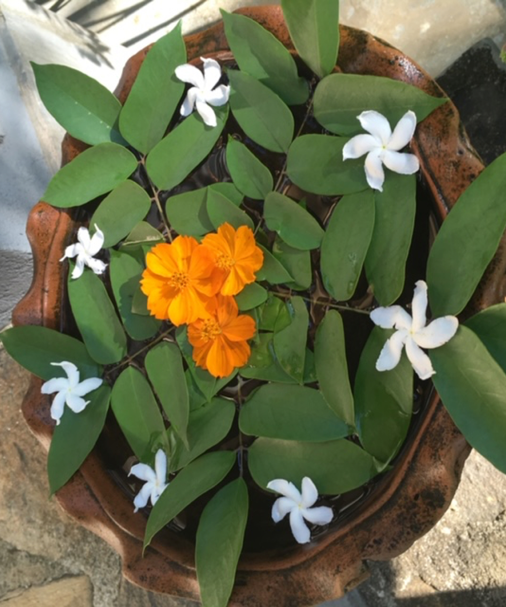 サラージュのこだわり1